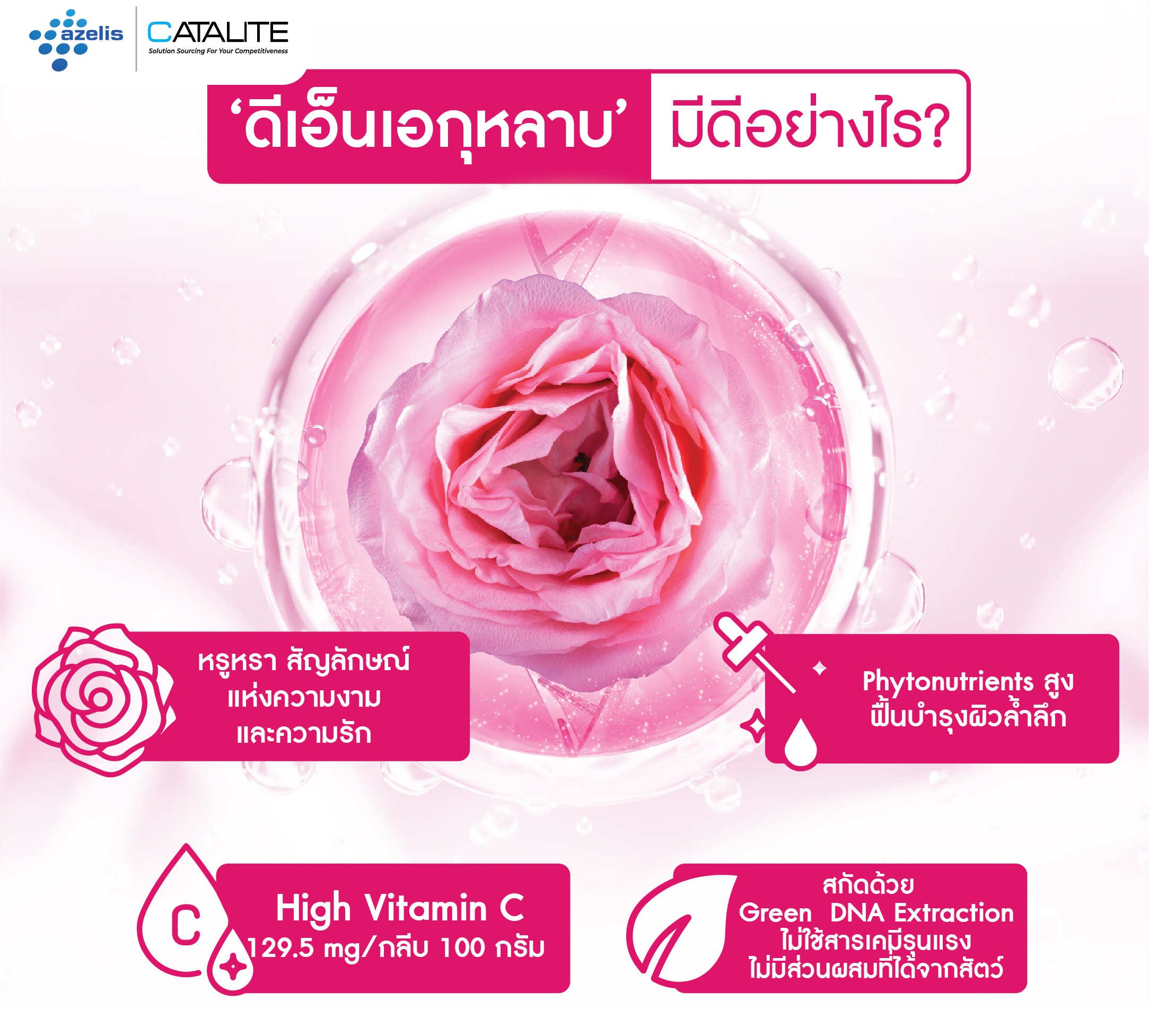 PhytoDNA Rose 13