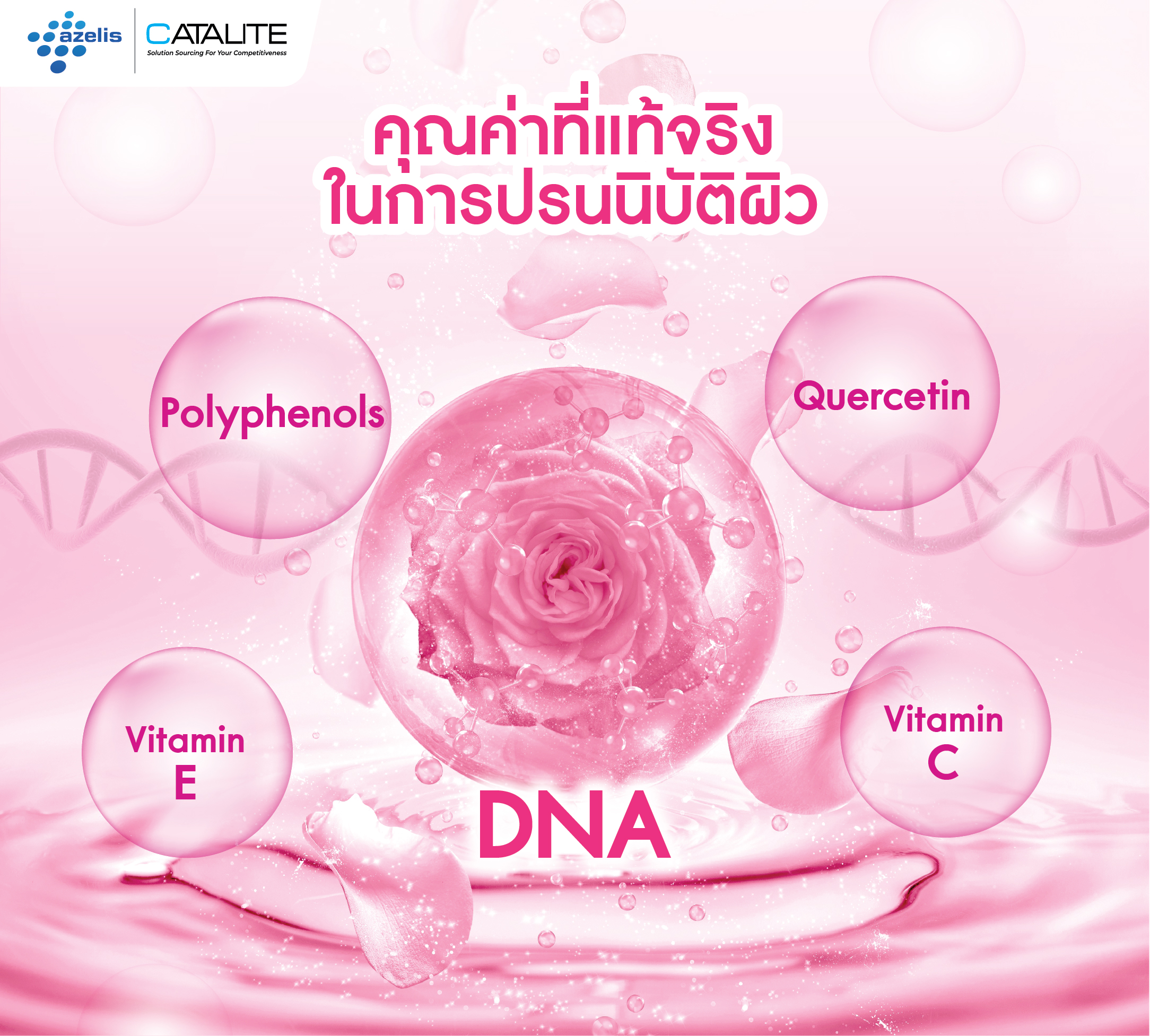 PhytoDNA Rose 14