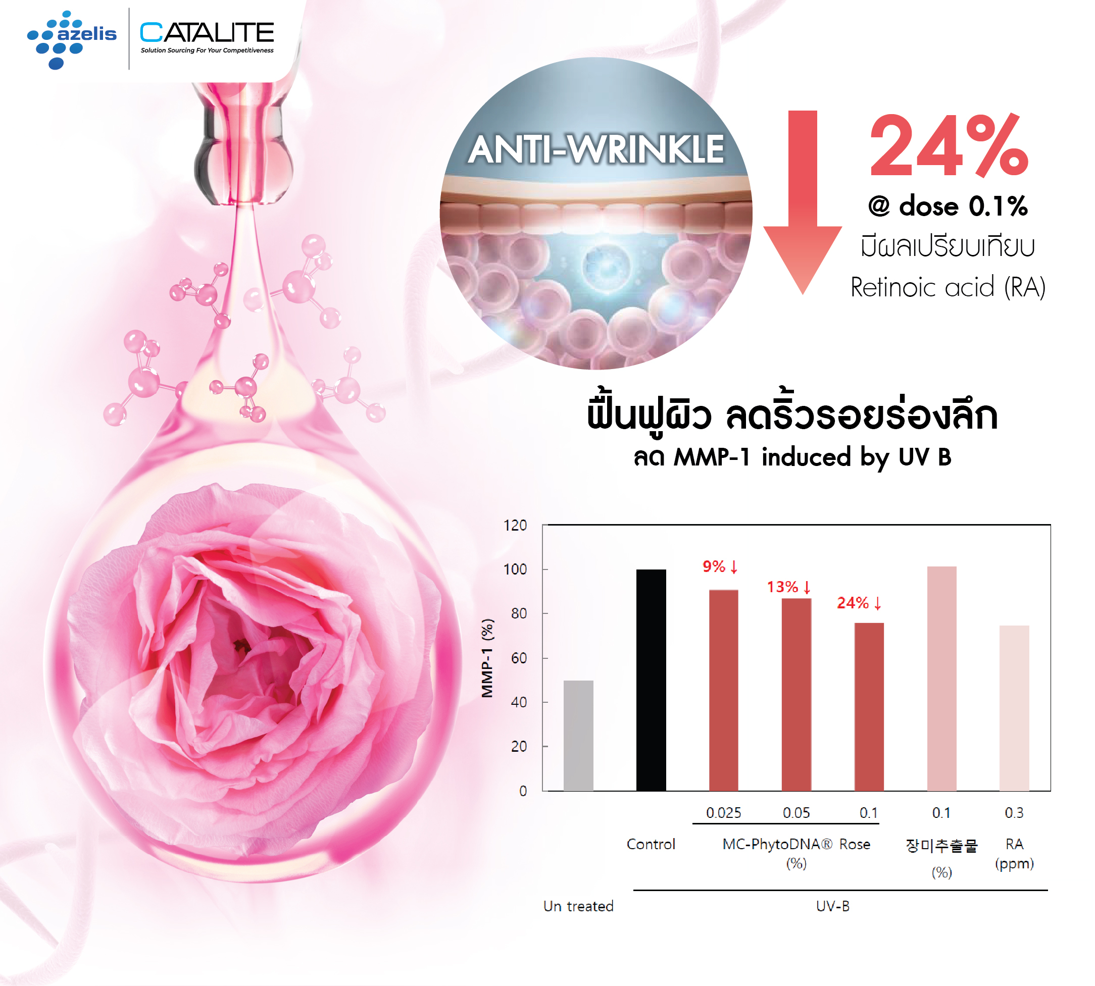 PhytoDNA Rose 15