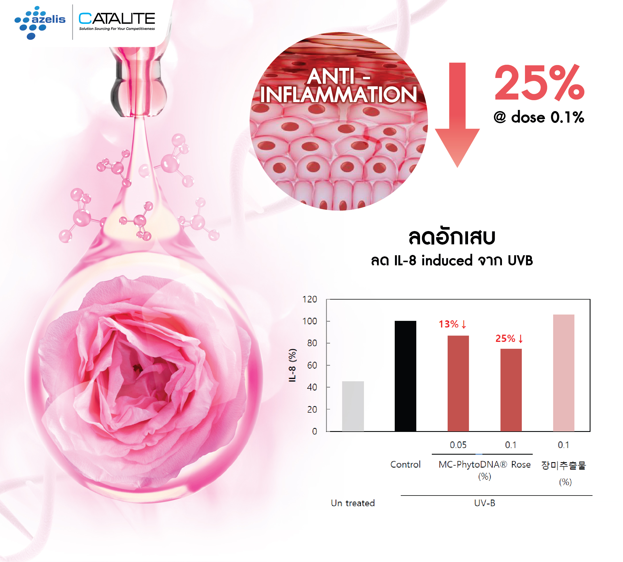 PhytoDNA Rose 16