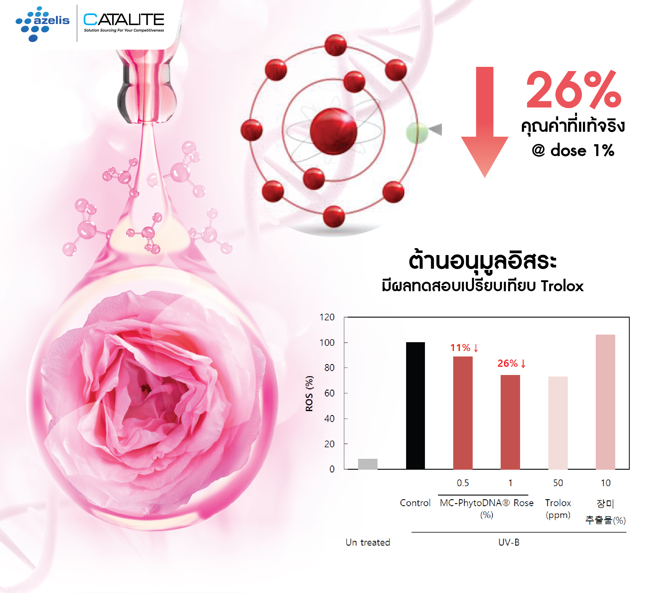 PhytoDNA Rose 17
