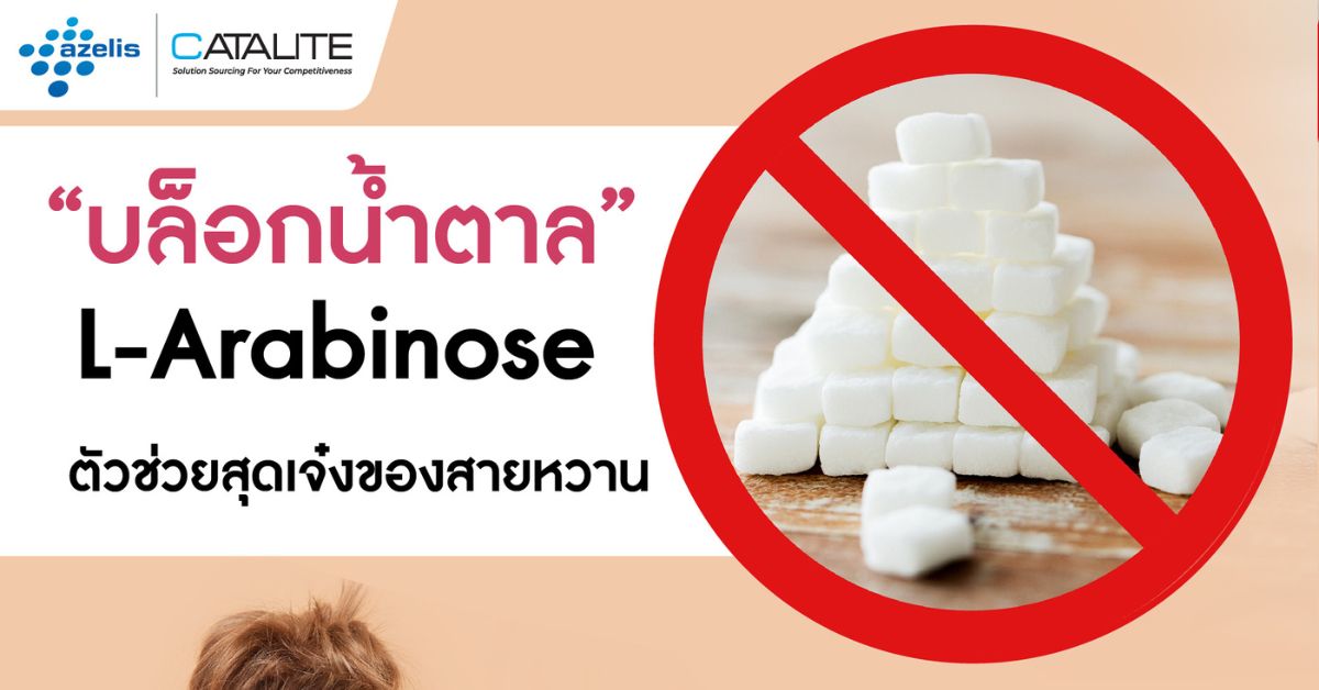 “บล็อกน้ำตาล” ตัวช่วยสุดเจ๋งสำหรับสายหวาน