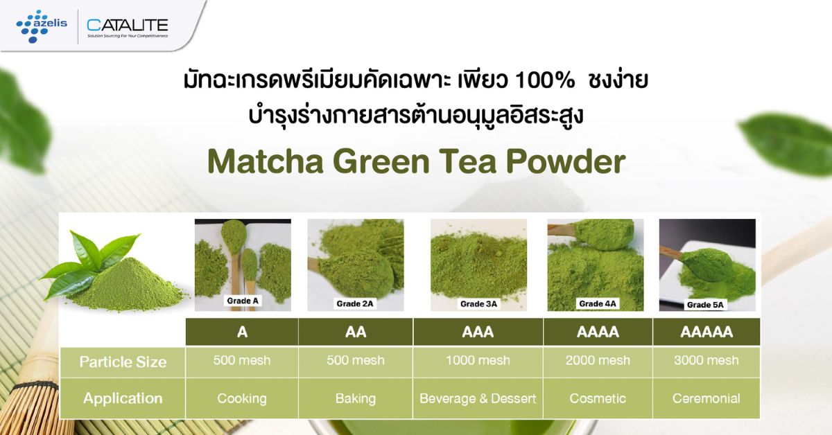 สัมผัสรสชาติแท้ของมัทฉะพรีเมียม! Matcha Green Tea Powder 🍵