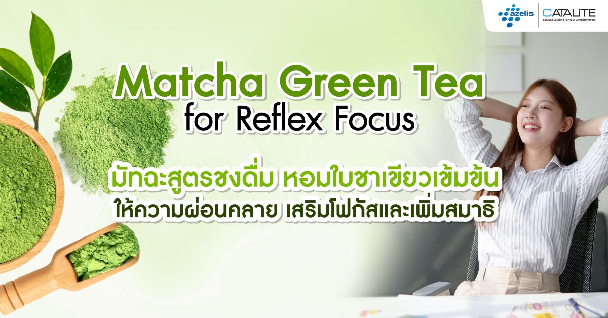 มัทฉะลาเต้สูตรชงดื่ม รีเฟรชสมอง พร้อมฟีลสุขภาพดี