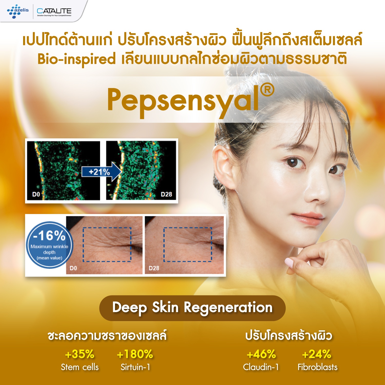 ฟื้นฟูลึกถึงสเต็มเซลล์ ย้อนวัยผิวด้วยเปปไทด์ Pepsensyal
