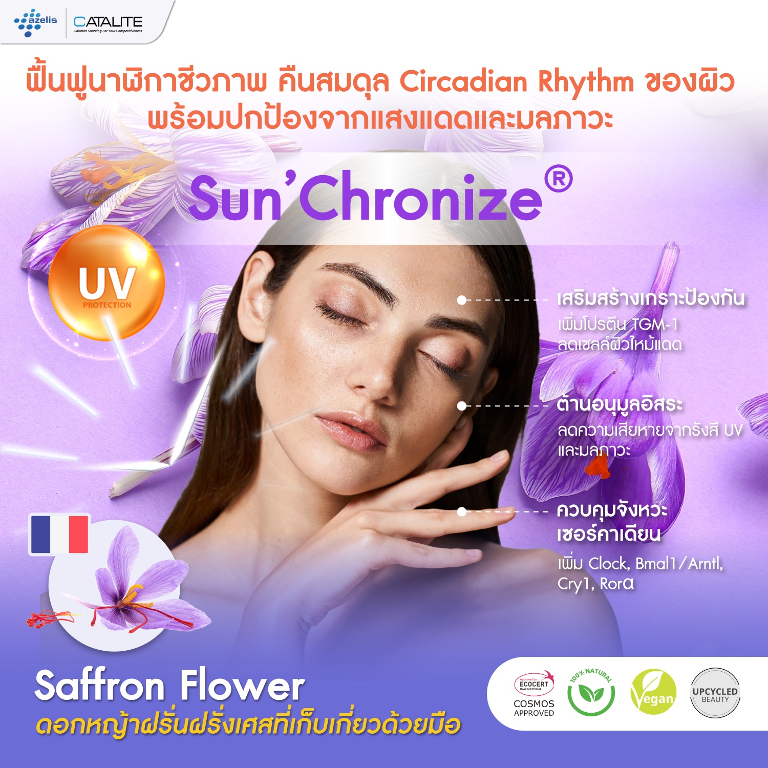Sun’Chronize® พลังแห่งหญ้าฝรั่นฝรั่งเศส สัญลักษณ์แห่งชีวิตและการฟื้นคืนชีพกว่า 5,000 ปี รีเซ็ต 'Circadian Rhythm' นาฬิกาชีวภาพของผิวตามธรรมชาติ  เพราะผิวสวยเริ่มต้นจากการเข้าใจจังหวะของมัน