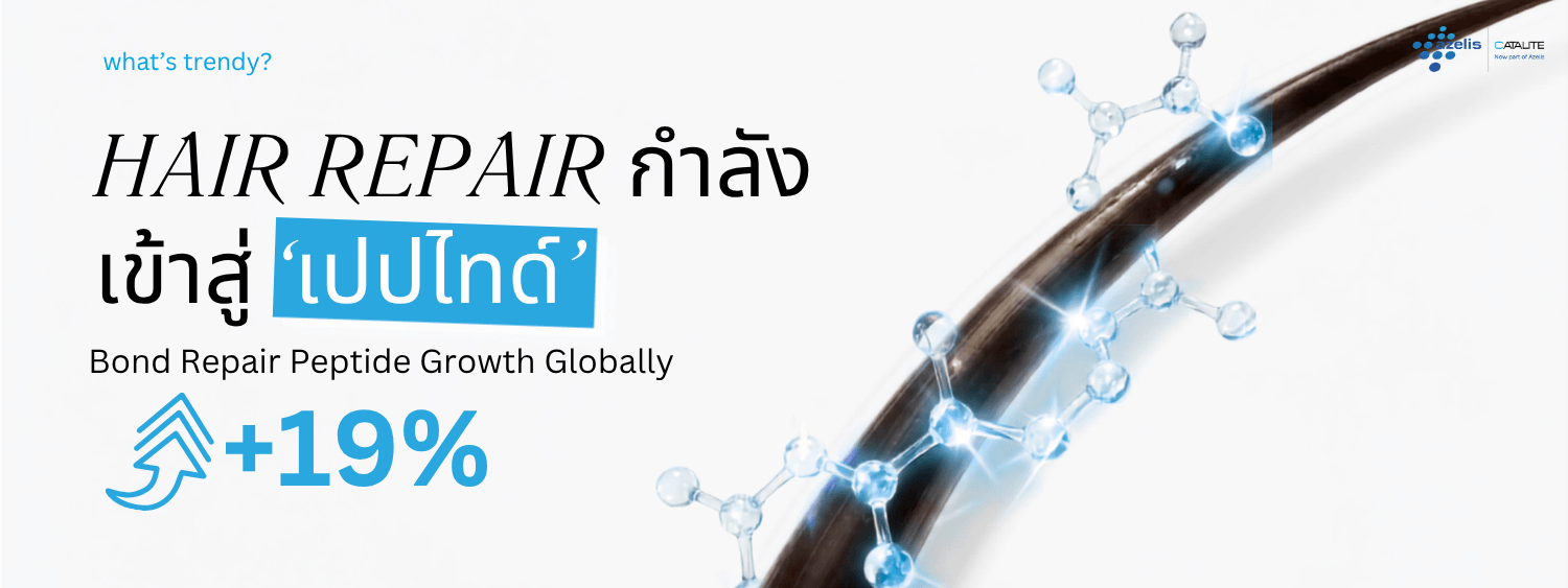 Catalite Easyway Banner 6
