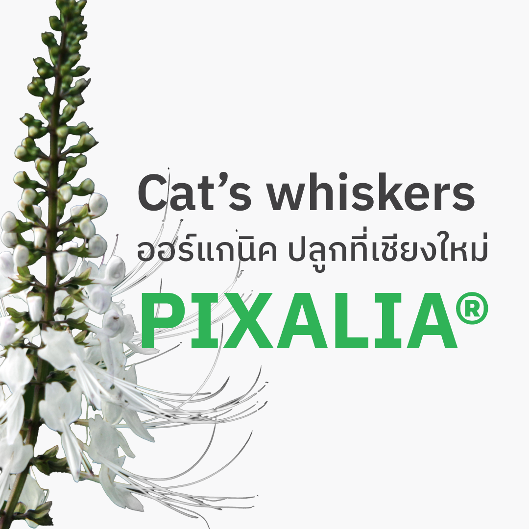 PIXALIA