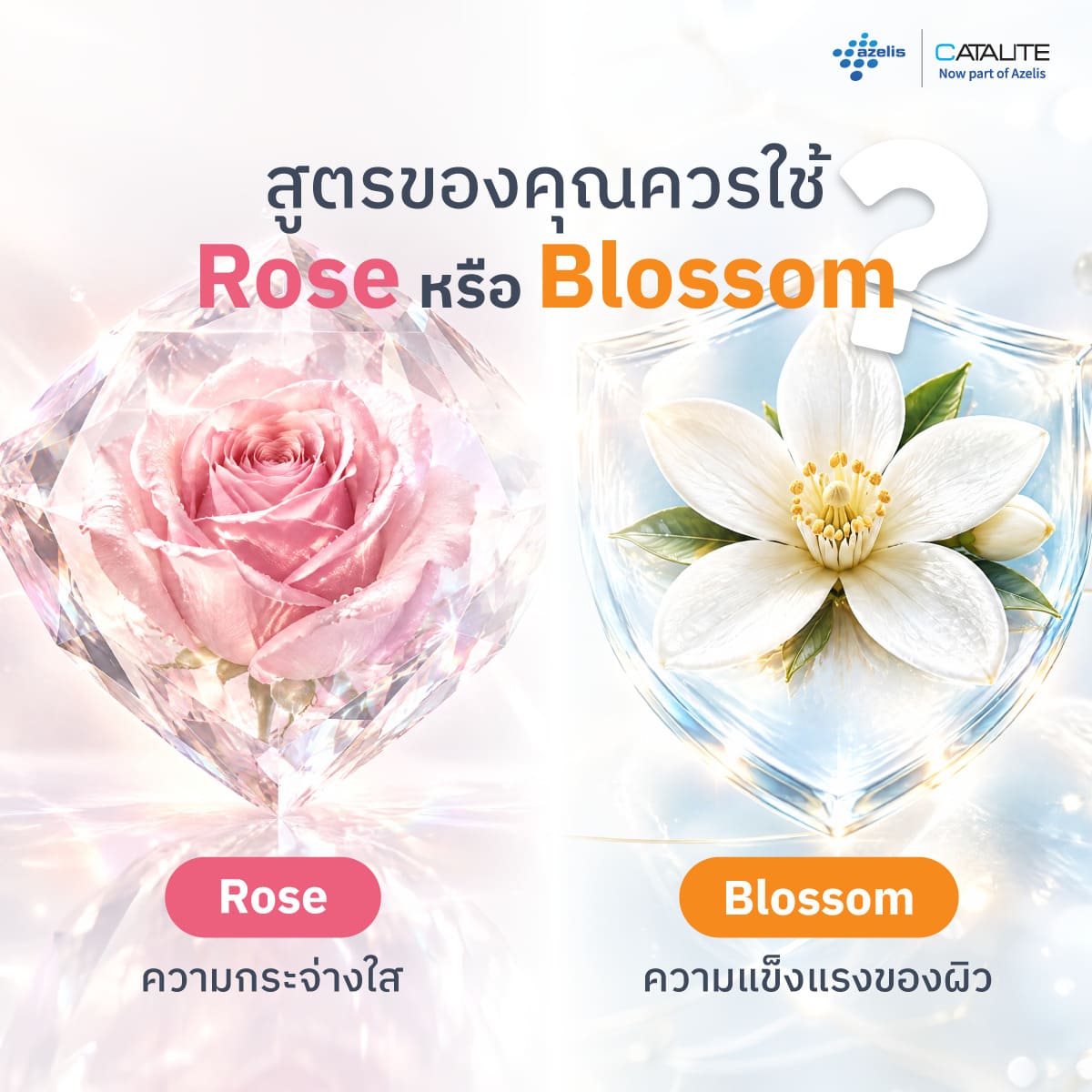 เปรียบเทียบ Floragenist Rose และ Floragenist Blossom
