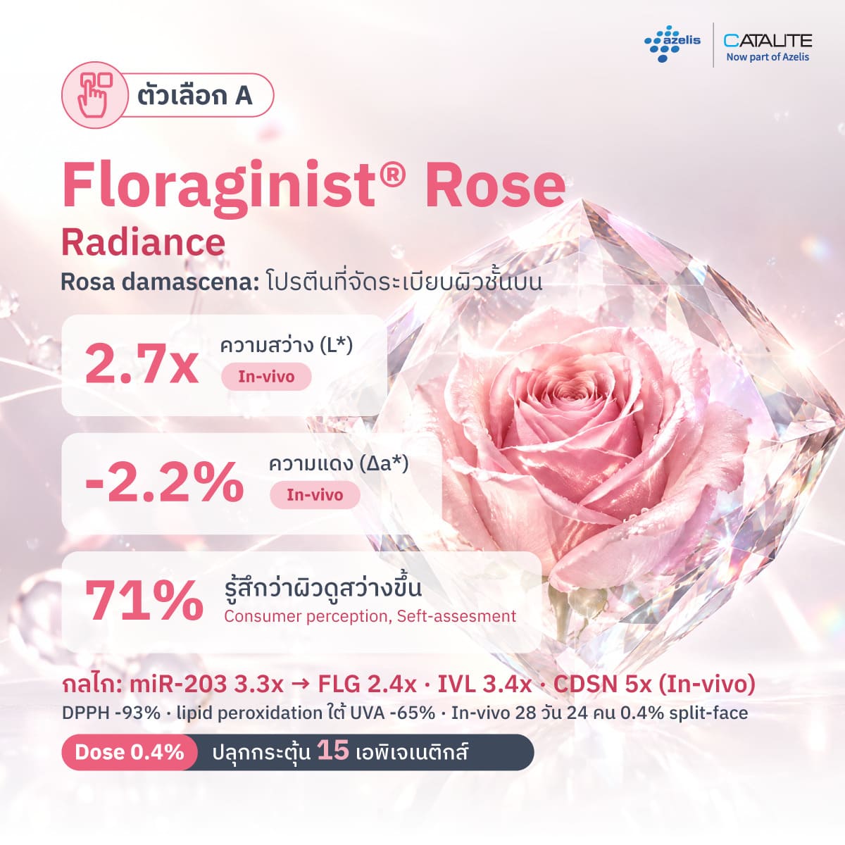 ข้อมูลประสิทธิภาพ Floragenist Rose