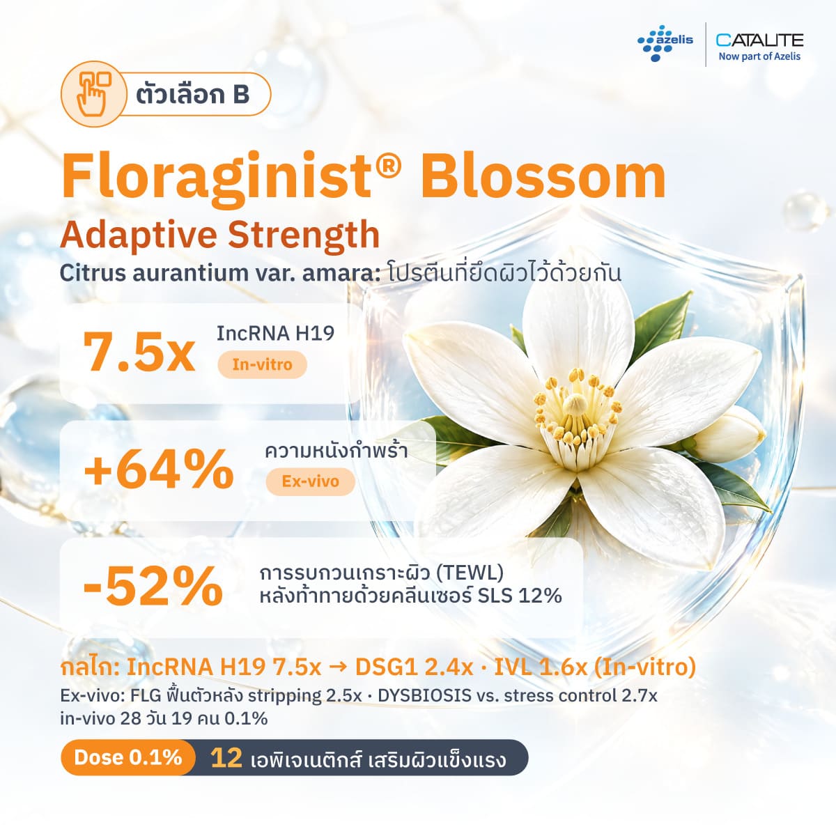 ข้อมูลประสิทธิภาพ Floragenist Blossom