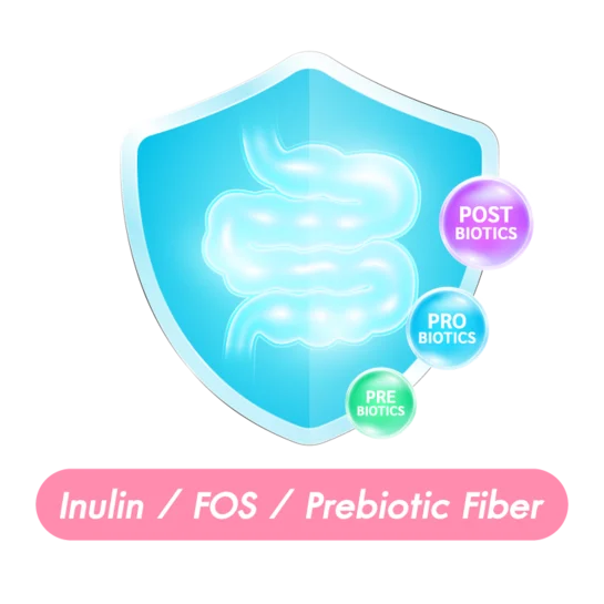 Prebiotic Fiber