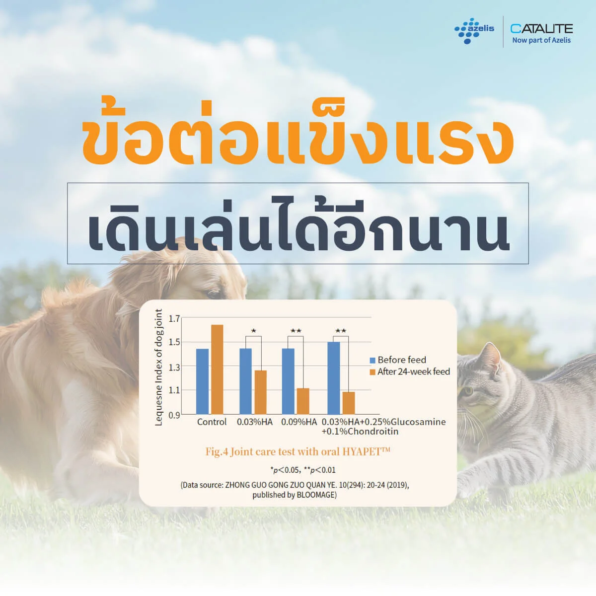 กราฟผลวิจัยไฮยาลูรอนิกลดอาการข้ออักเสบในสุนัข