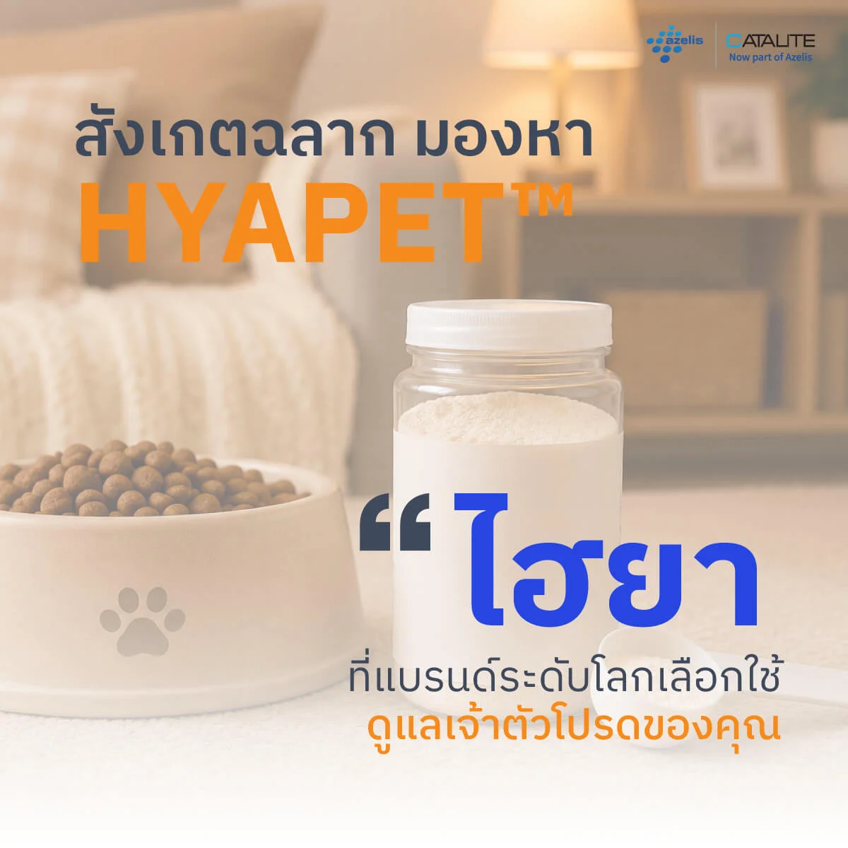 ผลิตภัณฑ์อาหารเสริมไฮยาลูรอนิกสำหรับสุนัขและแมว วิธีอ่านฉลาก