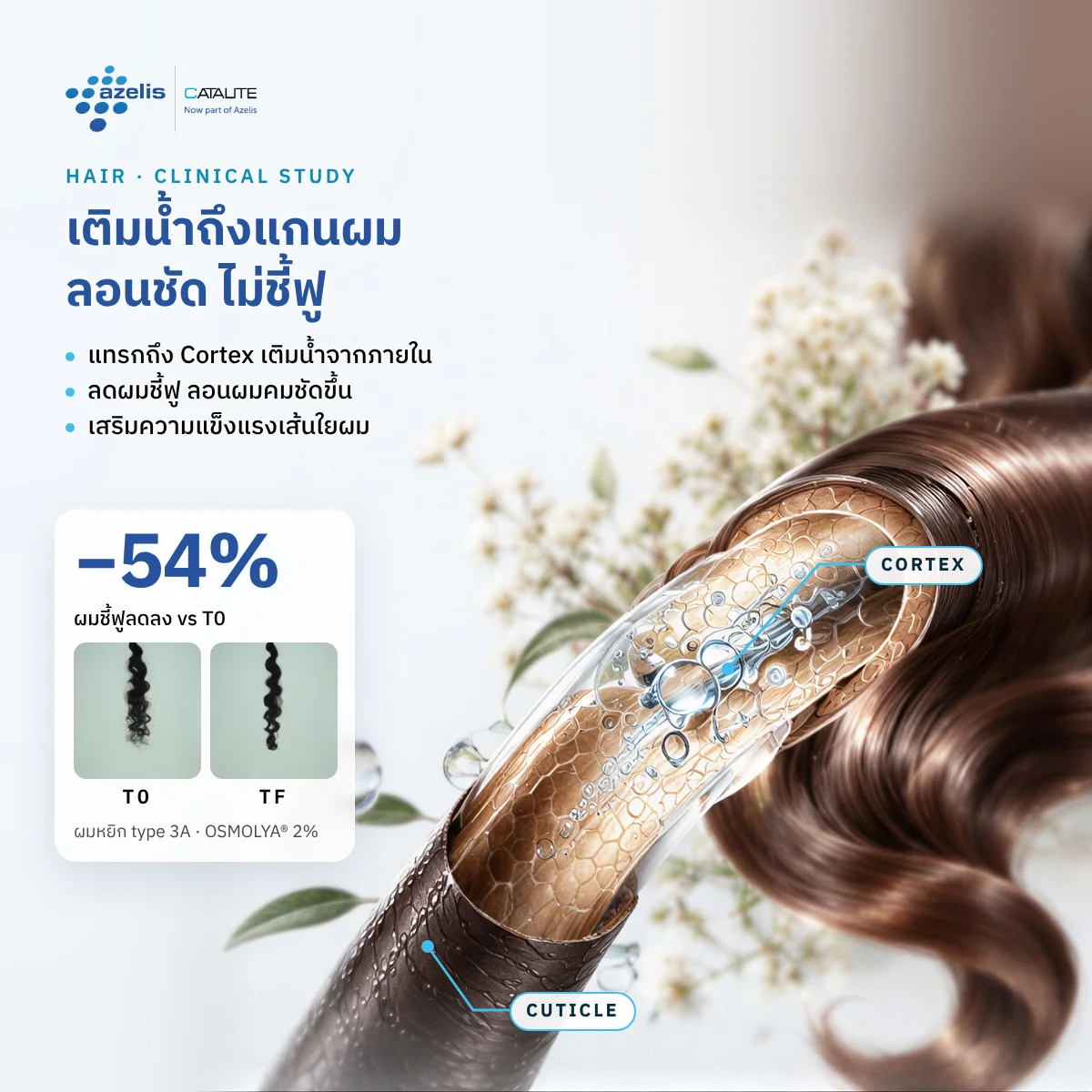 ผลทดสอบ OSMOLYA® 2%: ความชุ่มชื้นผิวเพิ่มขึ้น +42% ใน 28 วัน และผมชี้ฟูลดลง −54%