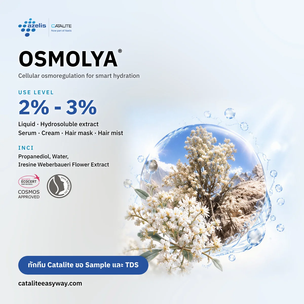 ข้อมูลสาร OSMOLYA®: หน้าที่ ระดับการใช้ 2–3% รูปแบบผลิตภัณฑ์ และ INCI